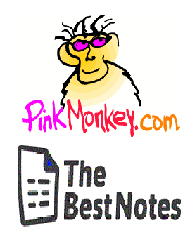 The Notebook by Nicholas Sparks Study Guide RTF